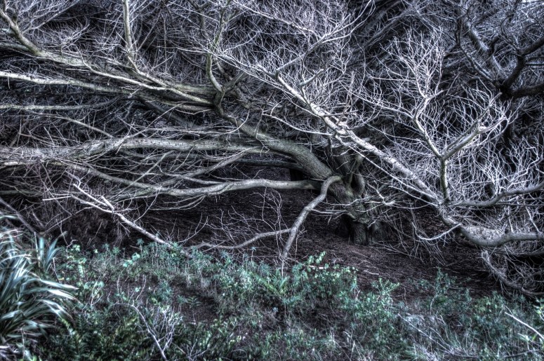 IMGP1207And9more_tonemapped