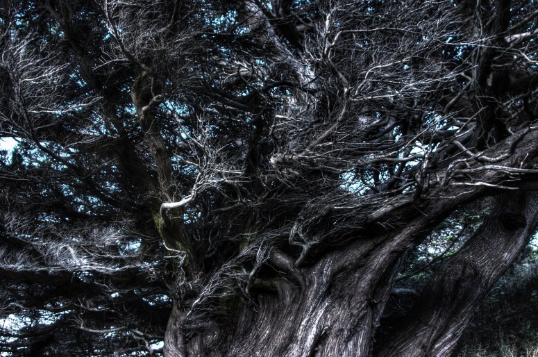 IMGP1223_4_5_6_7_8_9_tonemapped