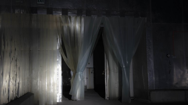 Those meat curtains.