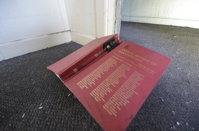 Abandoned Wellington Medical Centre, NZ